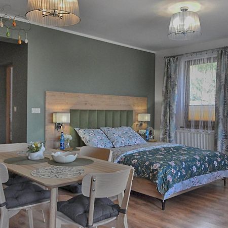 Apartamenty W Dolinie Goscina ดุสนิกิ สดรอย ภายนอก รูปภาพ